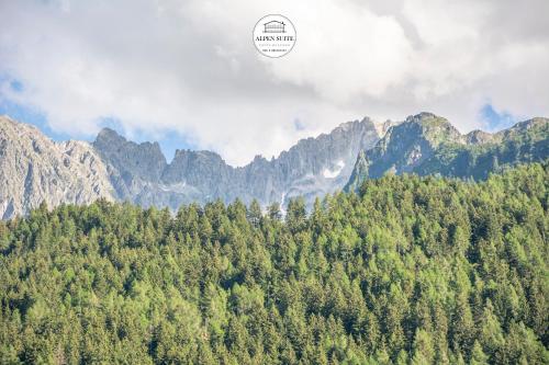 a view of a forest with mountains in the background at B&B Alpen Suite Ponte di Legno in Ponte di Legno