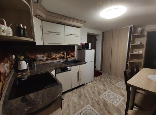 Kuchyň nebo kuchyňský kout v ubytování Apartmány ANJA