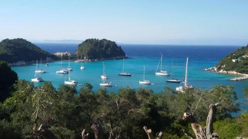 a group of boats docked in a body of water at Dimitri's Seaview Studio - Lakka Paxos in Lákka