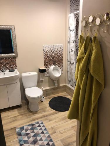 a bathroom with a toilet and a sink and a shower at R.Wolf castle in Gulbene