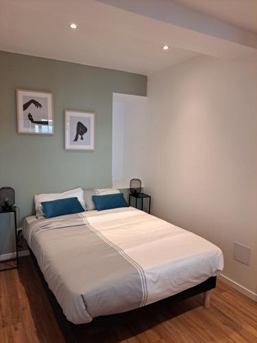 a bedroom with a large white bed with blue pillows at échappée belle en plein cœur d auxerre in Auxerre