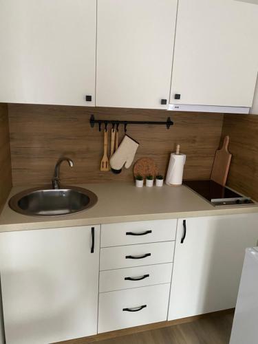 Kuchyň nebo kuchyňský kout v ubytování Apartmani Lazarevic Jagodina