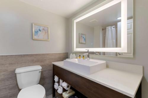 a bathroom with a sink and a toilet and a mirror at Best Western Plus McAllen Airport Hotel in McAllen