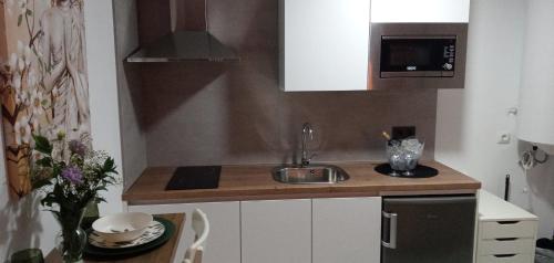 a small kitchen with a sink and a microwave at ESTUDIO Jacuzzi SOL De JEREZ in Jerez de la Frontera