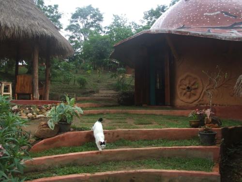 Κήπος έξω από το Chiang Dao Roundhouses