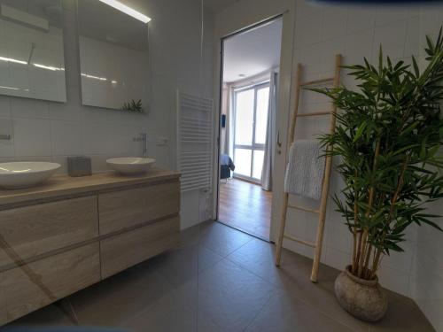 a bathroom with two sinks and a potted plant at Premium apartment in Scherpenisse with roofed terrace in Scherpenisse