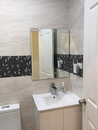 a bathroom with a sink and a mirror at Grannyflat in Bankstown