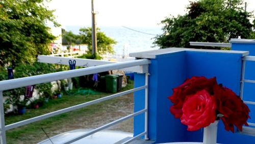 Gallery image of Hotel Elisabeta Borsh in Borsh