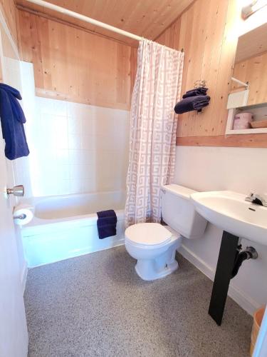 a bathroom with a toilet and a sink and a tub at Shannon Motel in Fort Nelson