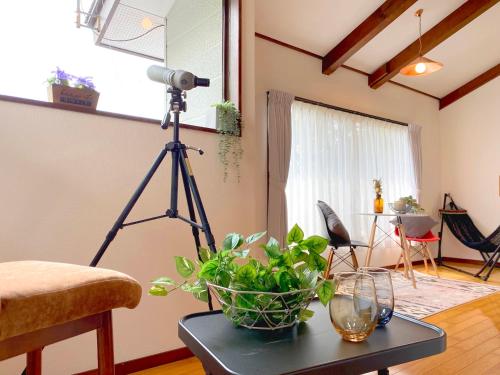 a camera on a tripod with a plant on a table at R-house 1st in Oshino