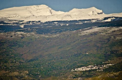 Γενική θέα στο βουνό ή θέα στο βουνό από  αυτός ο ξενώνας