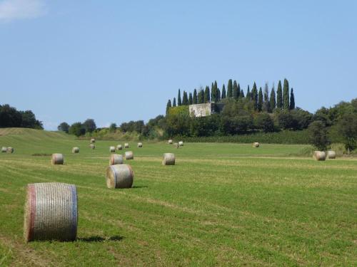 a herd of hay bales in a field at Family Retreat near Garda in Ronzo Chienis