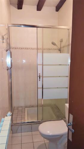 a bathroom with a glass shower with a toilet at Maison confortable à Bardos avec vue sur montagne in Bardos