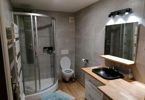 a bathroom with a shower and a toilet and a sink at Le grand duc in Mijoux