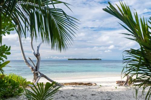 a palm tree on a beach with the ocean at Tailana Island Pulau Banyak in Alaban