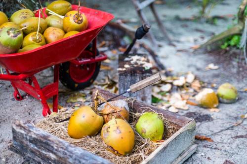 a red wheelbarrow filled with green and yellow fruit at Tailana Island Pulau Banyak in Alaban