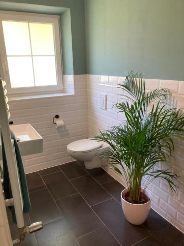 a bathroom with a toilet and a potted plant at Haus Angermann in Mallnitz