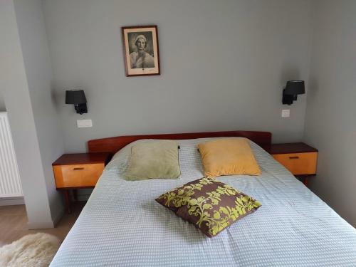 łóżko z dwoma poduszkami w sypialni w obiekcie Fredhousedurbuy 2 w mieście Durbuy