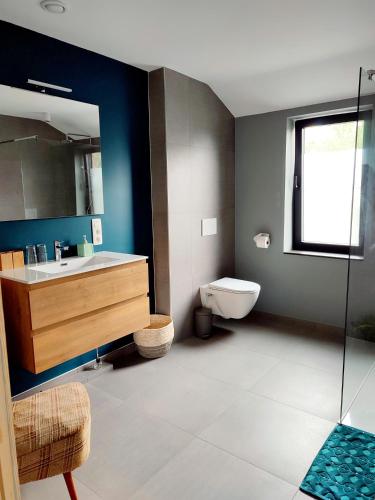 a bathroom with a sink and a toilet at Fredhousedurbuy 2 in Durbuy