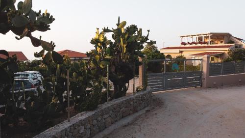 une clôture devant une maison avec un cactus dans l'établissement Michelino House, à Parghelia