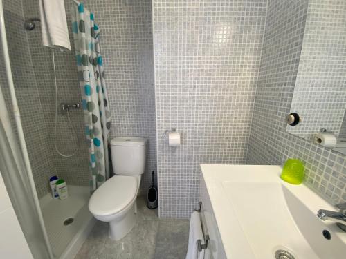 トレビエハにあるHomely Apartments La Gaviotaのバスルーム(トイレ、洗面台、シャワー付)