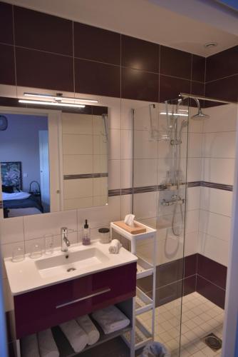 La salle de bains est pourvue d'un lavabo et d'une douche. dans l'établissement Epicurieux Normand, à Viessoix