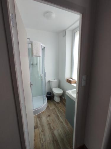 e bagno con doccia, servizi igienici e lavandino. di The Gast-House Duo a Isigny-sur-Mer