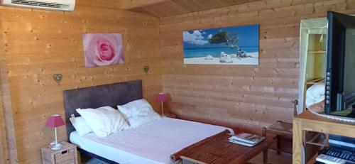 a small bedroom with a bed and a television at Chalet l'emiline , Gite climatisé au sud d'aix avec piscine in Bouc-Bel-Air