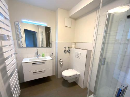 W łazience znajduje się toaleta, umywalka i prysznic. w obiekcie Apartment Heller am Hasselkopf w mieście Braunlage