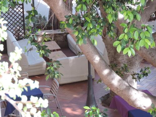 a tree with a hammock and a swing in a yard at Albergo Miramare in Cala Gonone