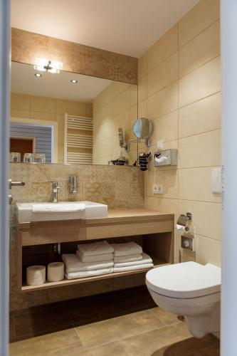 a bathroom with a sink and a toilet and a mirror at Elbresort Kurort Rathen in Rathen