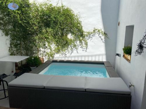 a swimming pool in a patio with a tree at Casa Limon in Pinos del Valle