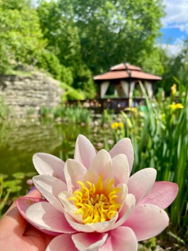 a person holding a pink flower in front of a garden at Hotel Belweder in Ustroń