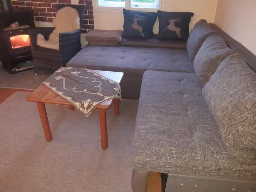 a living room with a couch and a coffee table at Hüttenzauber in Taxenbach