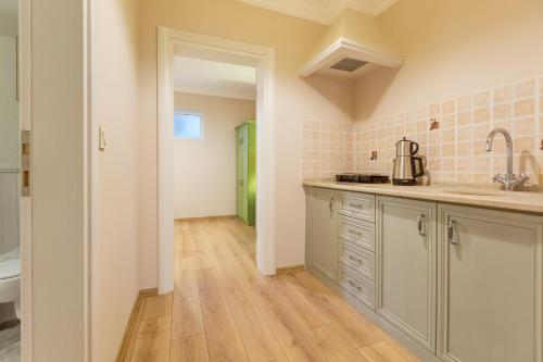 a kitchen with a sink and a counter top at Gurel Garden House in Kucukkuyu