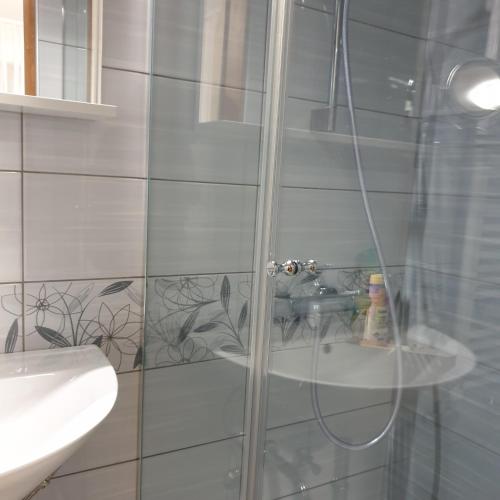 a bathroom with a shower and a sink at Apartmaji Pri Medvedu in Bohinj
