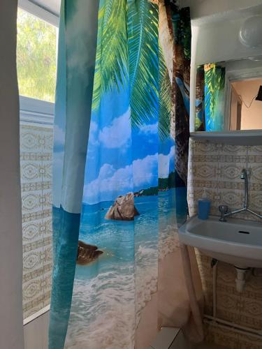 a bathroom with a shower curtain with a dolphin in the water at Santa Marina Rooms in Agia Marina Aegina