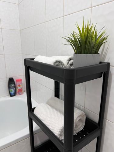 a black shelf in a bathroom with a plant on it at Apartment 777 in Bijelo Polje