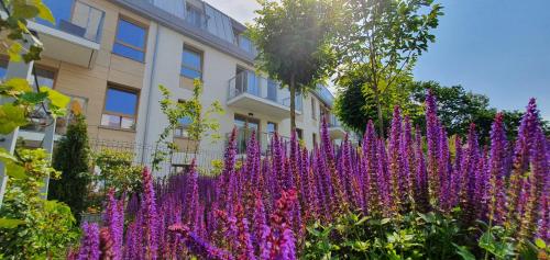 a garden of purple flowers in front of a building at Sunrise Sopot Apartments in Sopot