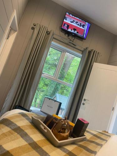 a room with a bed with a television and a bed with at P78 - Studio Pod with Hot Tub in Bethesda