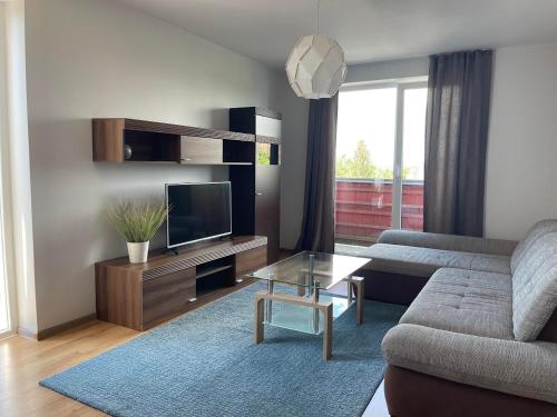 Μια τηλεόραση ή/και κέντρο ψυχαγωγίας στο Palanga Apartment Daukanto 17