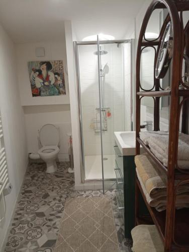 a bathroom with a shower and a toilet and a sink at Thuir: superbe appartement in Thuir