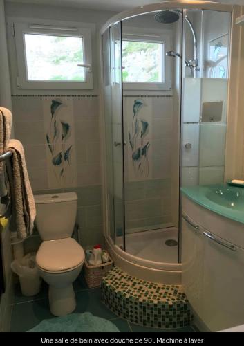 une salle de bain avec une douche, des toilettes et un lavabo dans l'établissement St Valery en Caux, apt vue mer et falaise: le bleu de lô, à Saint-Valery-en-Caux