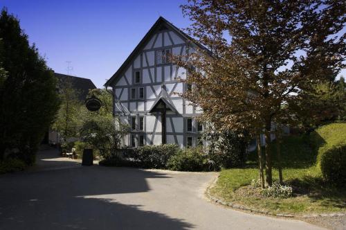 Freimühle Hotel-Restaurant في Girod: مبنى ابيض واسود امامه شجرة
