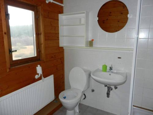 a bathroom with a toilet and a sink at Chata Orlice in Bartošovice v Orlických Horách