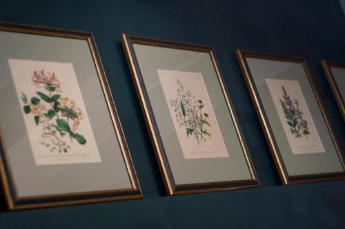 a group of four framed pictures of flowers at The Coleridge Boutique Hotel In Valletta in Valletta