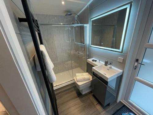 a bathroom with a shower and a sink and a toilet at P56 - Studio Pod with Hot Tub in Bethesda