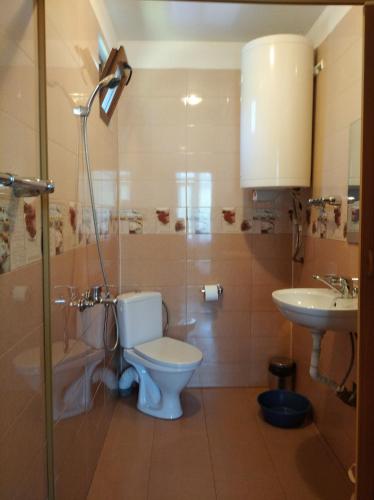 a bathroom with a toilet and a sink and a shower at Къща за гости Краси in Krapets