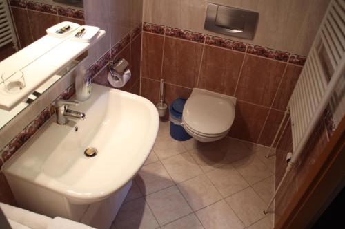 a bathroom with a sink and a toilet at Pension Janka Kdyně in Kdyně