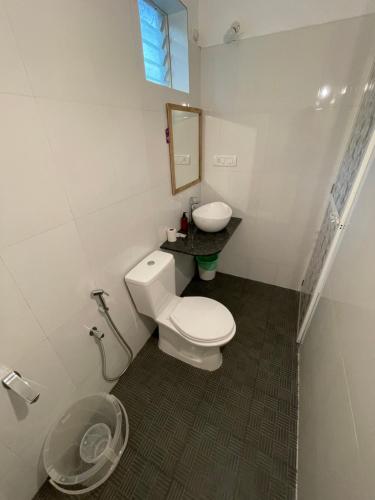 a bathroom with a toilet and a sink and a mirror at Cheerful 2-Bedroom Villa with Private Plunge Pool, Candolim, Goa in Marmagao